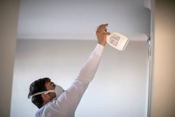 Best Mold Removal Company Near Me  in Holly Springs, MS
