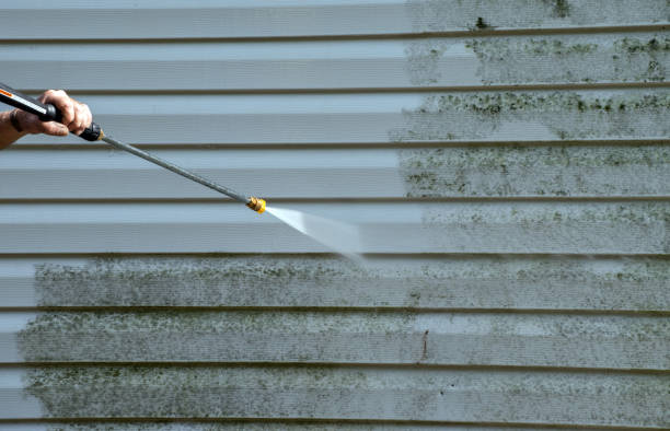 Best Commercial Mold Removal  in Holly Springs, MS